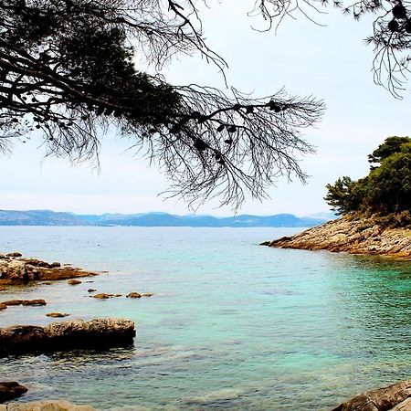 Apartment Marija Mljet 7 Sobra Exterior photo